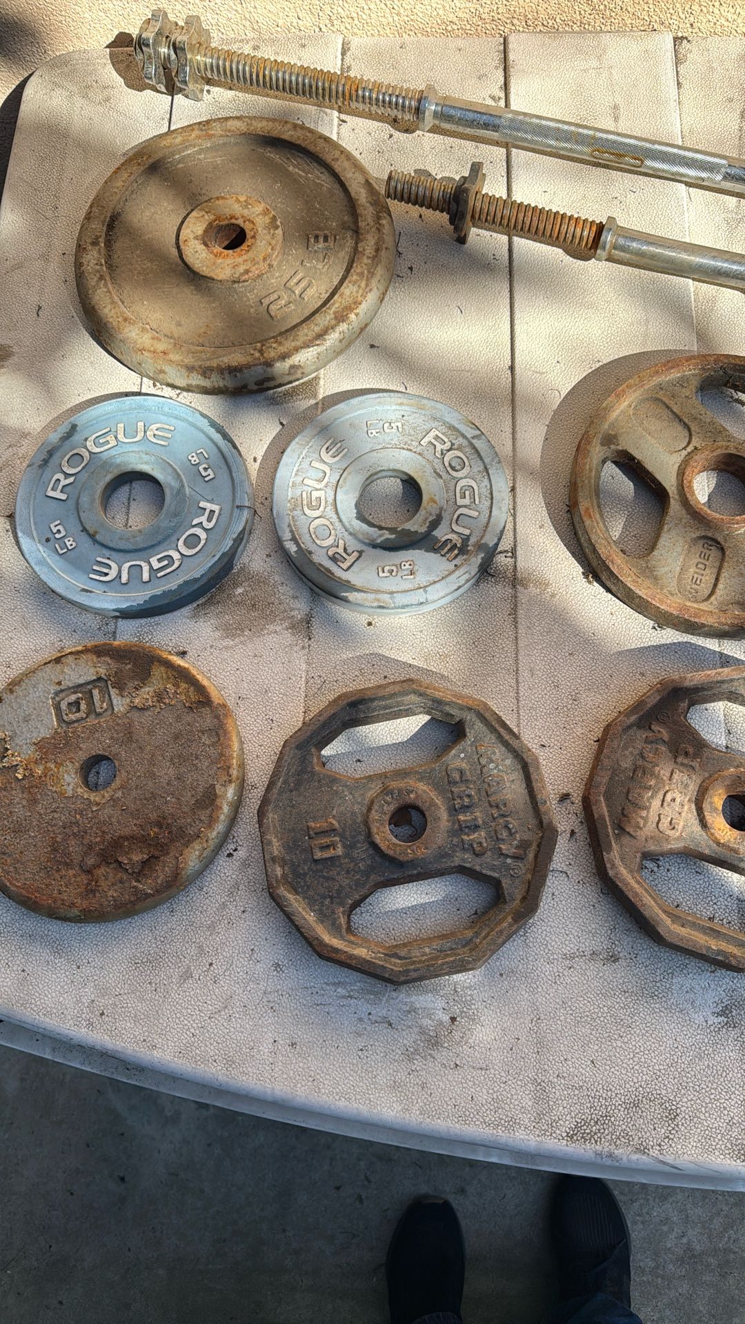 Weight Plates And Bar And Curl Bar