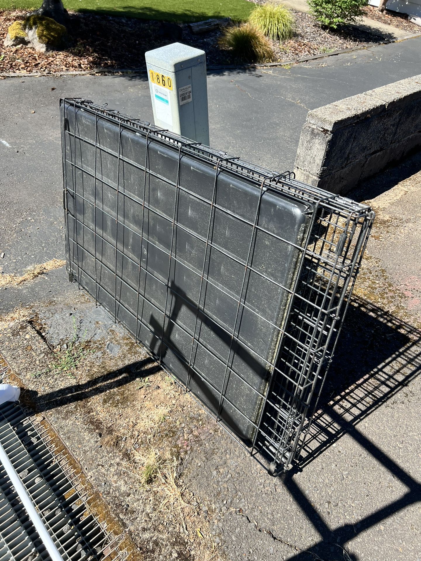 Free Large Dog/Cat crate