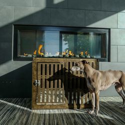 Modern Wooden Dog Crate - Artisan-Made | Like New / Used on Display