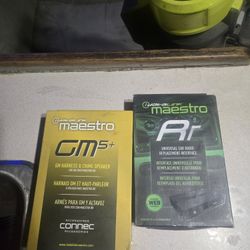 Maestro Car Audio Adapters