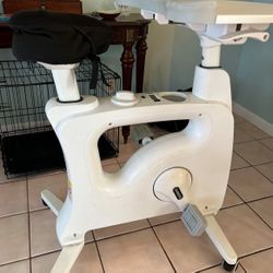 Flexispot Exercise Desk Bike
