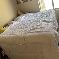 Bed frame With Mattress 