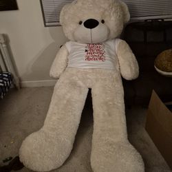 Giant Teddy 