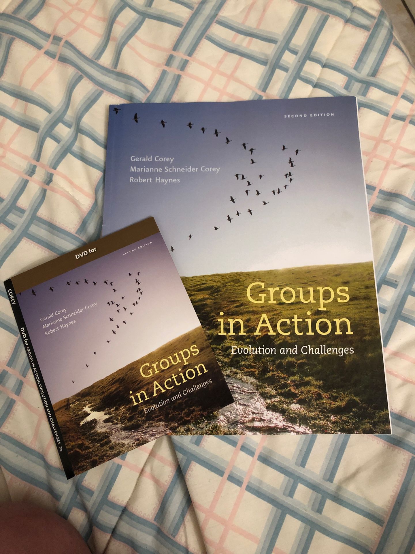 Groups in Action workbook and DVD