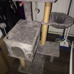 Cat Tree. 