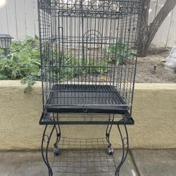 Bird Cage