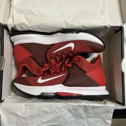 Nike LEBRON WITNESS IV TB Basketball Shoes Size 11