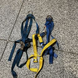 Safety Harnesses 