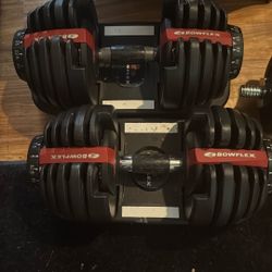 Bowflex Dumbbells 