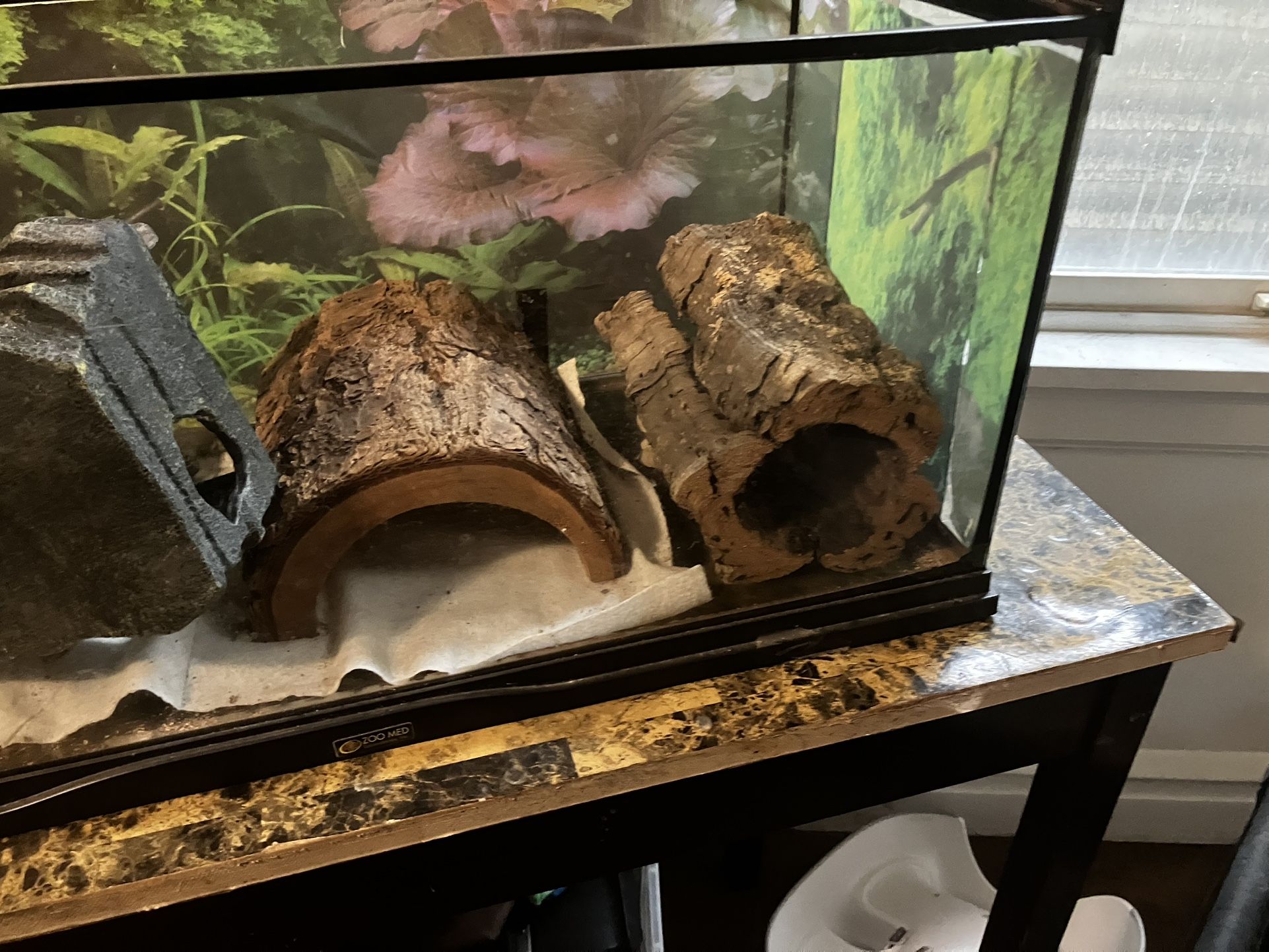 Reptile Tank