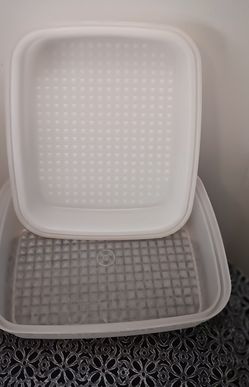 Tupperware marinating container