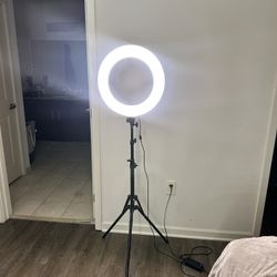 Ring Light 