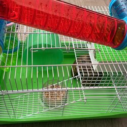 Tengo 4 Hámster Rusos Con Jaula Los Regalo 