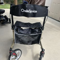 Oasis Space Walker