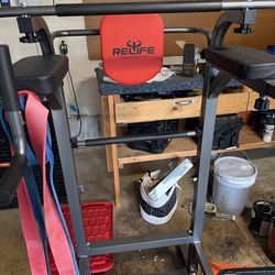 Pull up and dip station