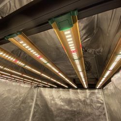 LED GROW LIGHT