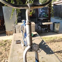 Giant Frame Beach Cruiser 
