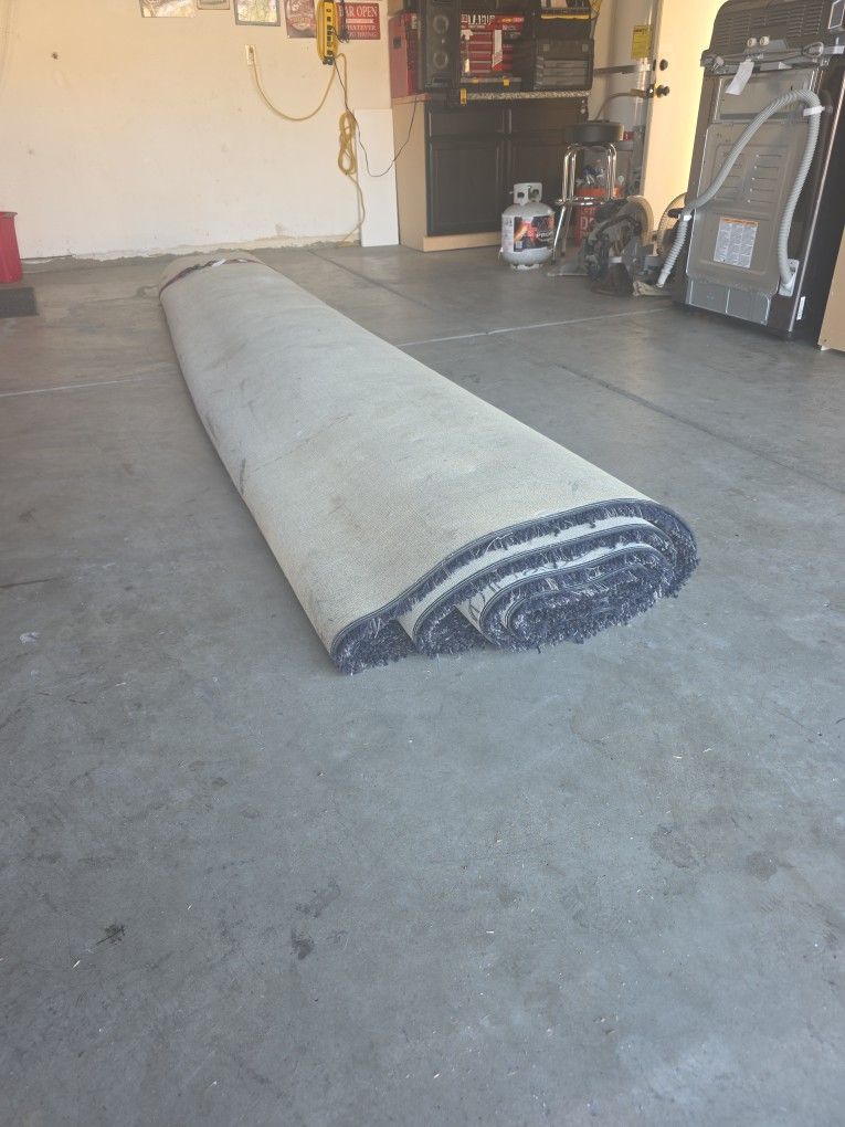 RUG 12X???