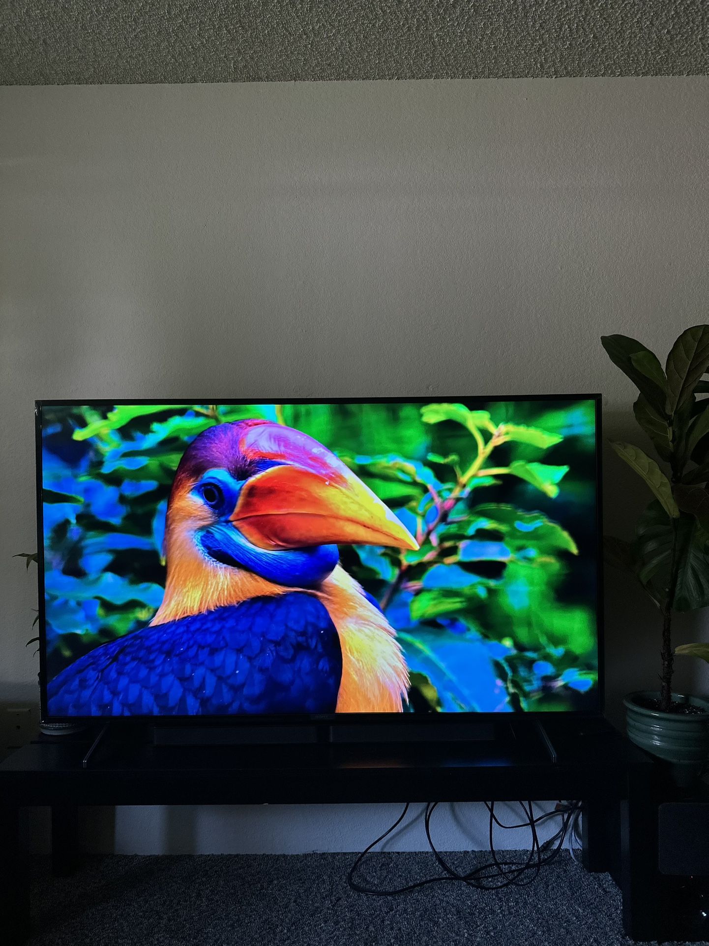 65” SONY BRAVIA 4K