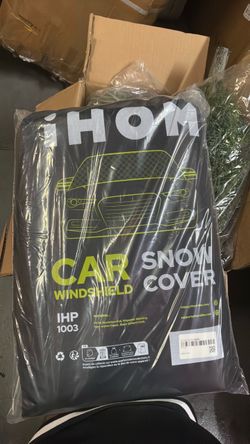 Car windshield