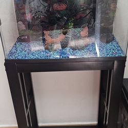 10-Gallon Fish Tank with Stand - Pecera de 10 Galones con Base