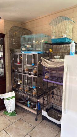 Cages