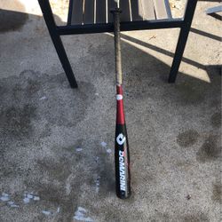 Baseball Bat