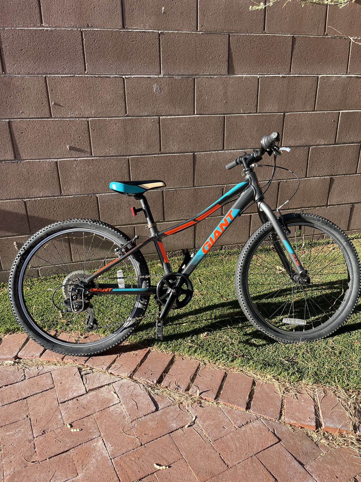 XTC Jr Teal And Grey Young Adults Mountain Bike
