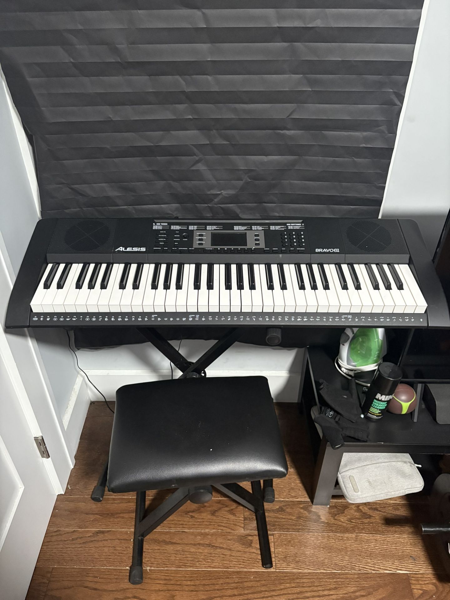 Alesis Keyboard Piano