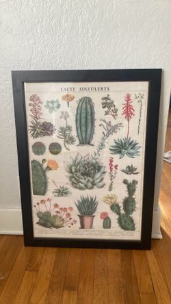 Cacti Succulent Framed Print
