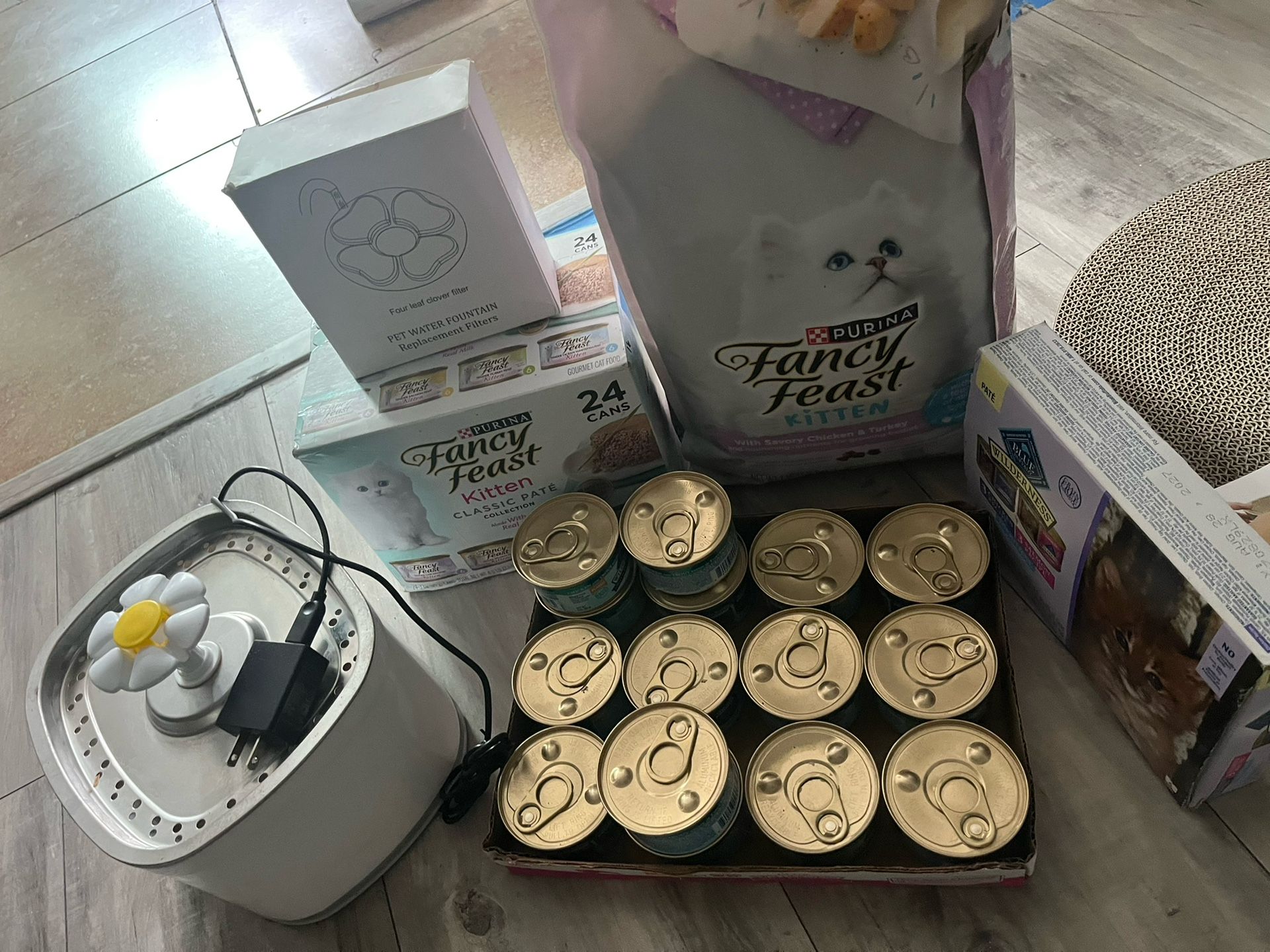 Food and food for cats