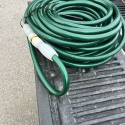 water hoses 