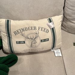 Kirkland Decorative Holiday Pillows