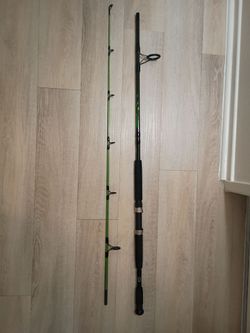 Zebco bite alert medium heavy fishing rod
