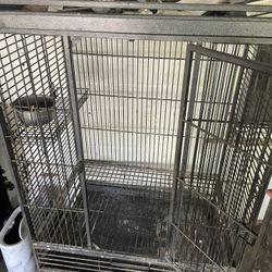 Bird Cage 