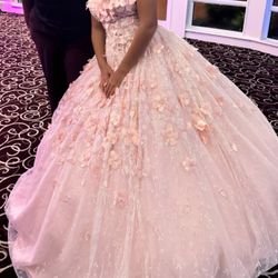 Quincenera Dress with Cap And Hoodie Size  Small