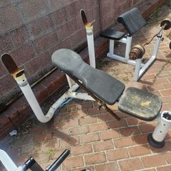 Free bench press, FREE 