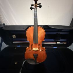 Violin