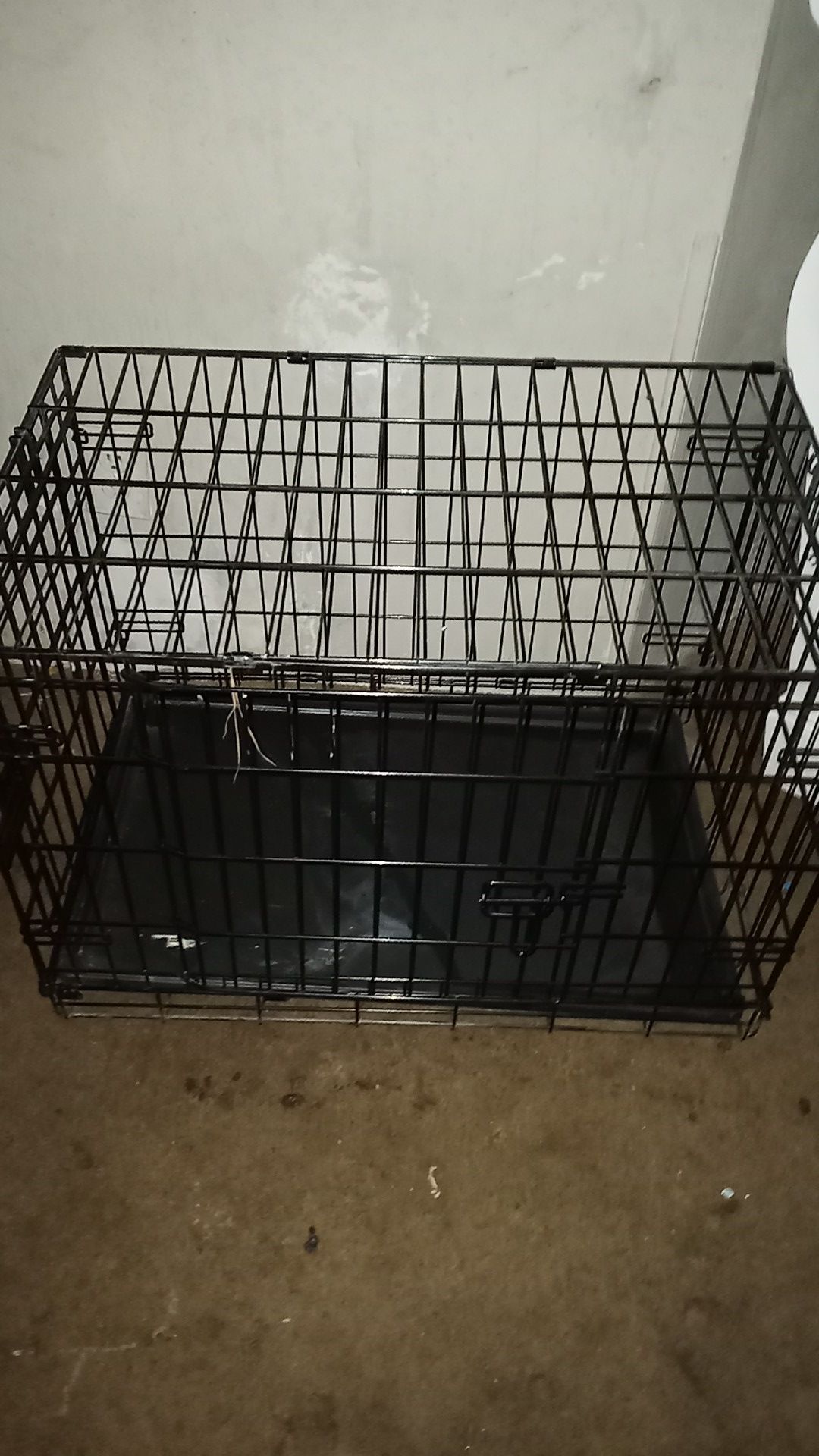 Kennel