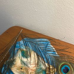 Oyster Shell Trinket dish / Peacock Decor / Feathers 