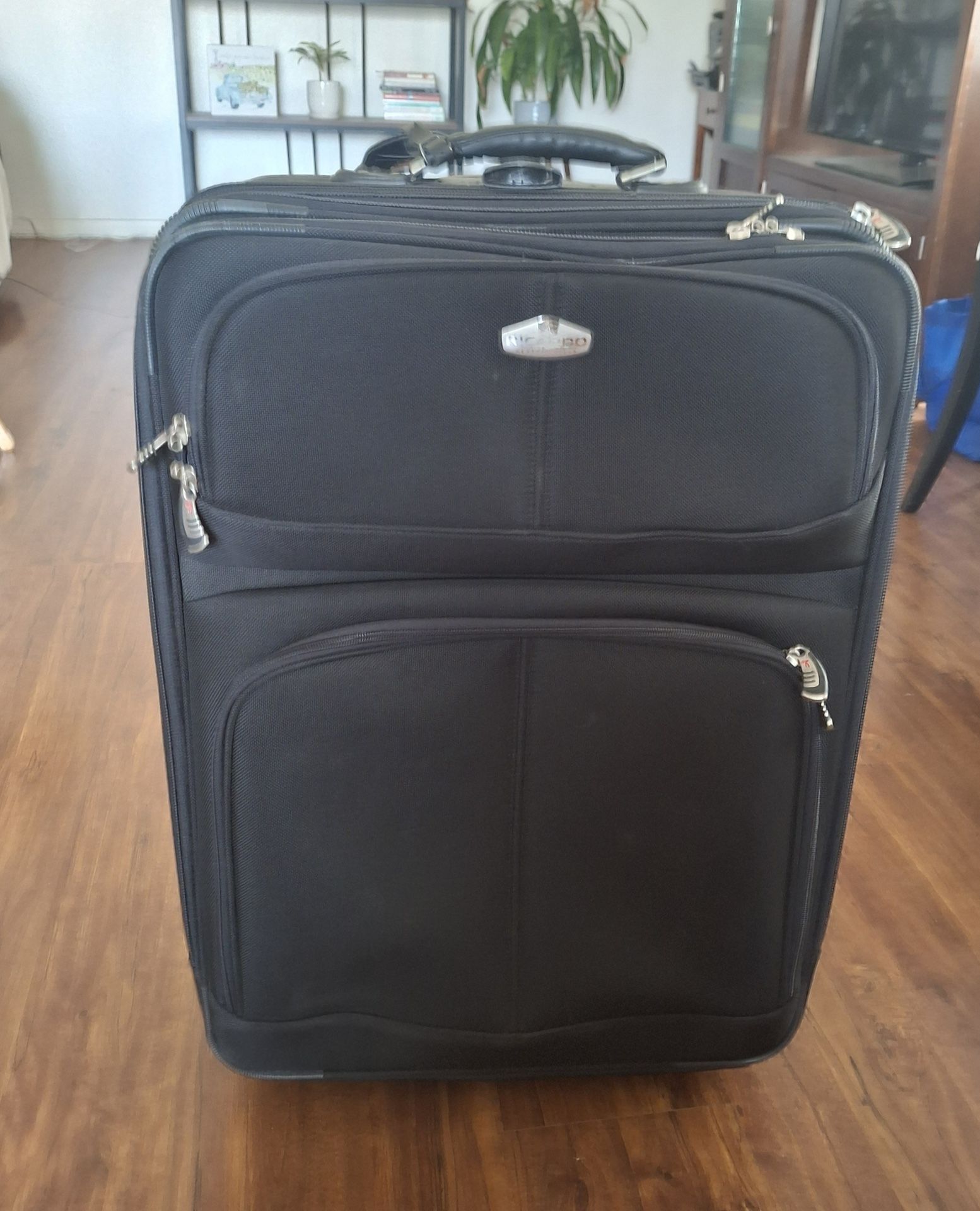Checked Luggage