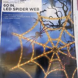 5ft LED Spider Web