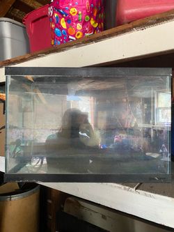 Fish tank