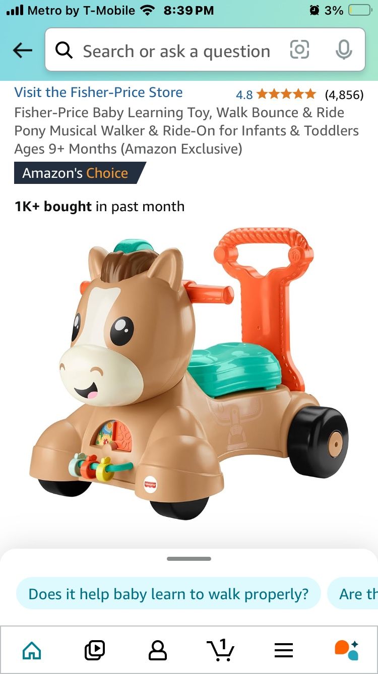 Horse Ride And Walker 