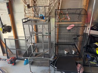 Birds cages