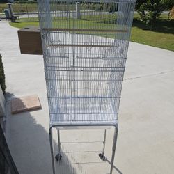 Birds Cage