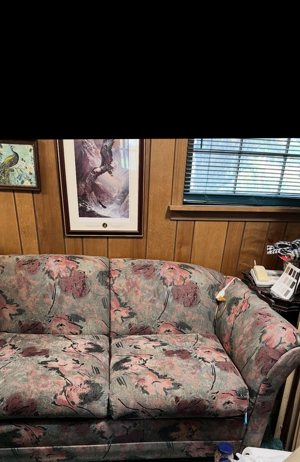 Loveseat/2 Cushion Couch