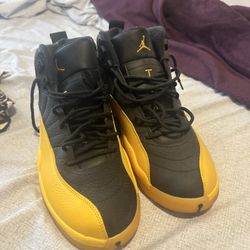 Jordan 12