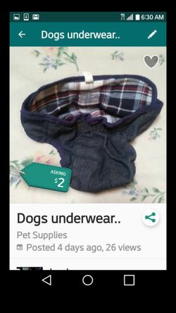 Dogs under wear