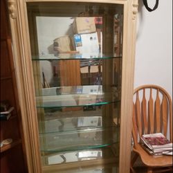 Display Case/Curio Cabinet